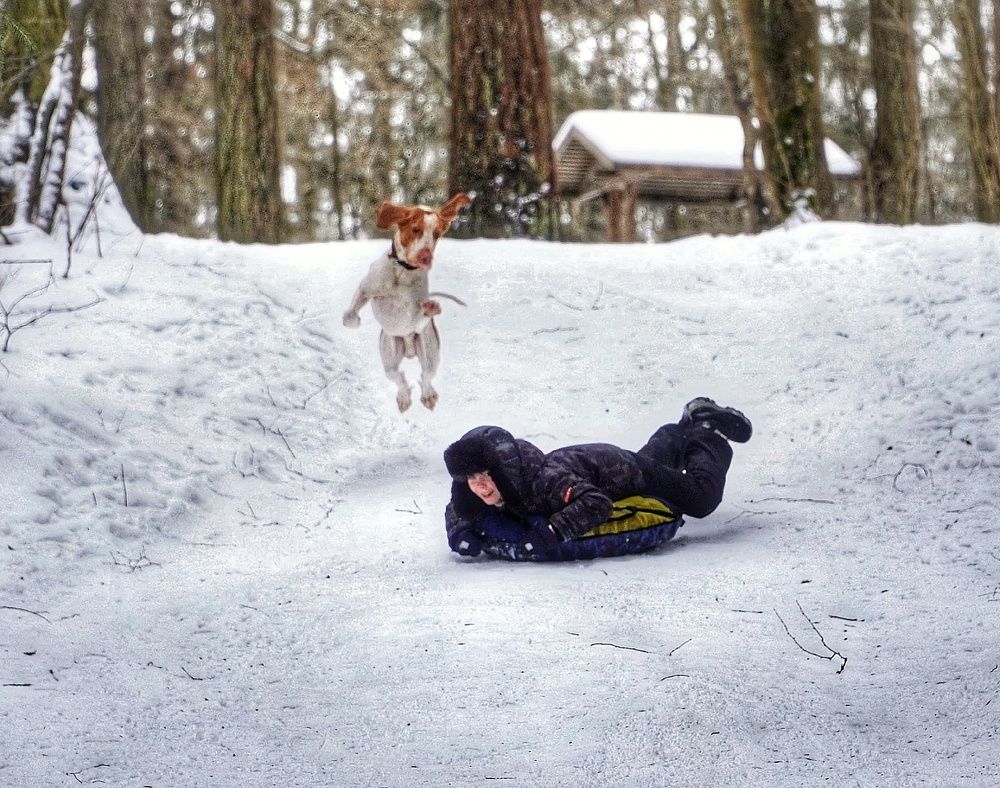 Photograph by Марина Безенкина