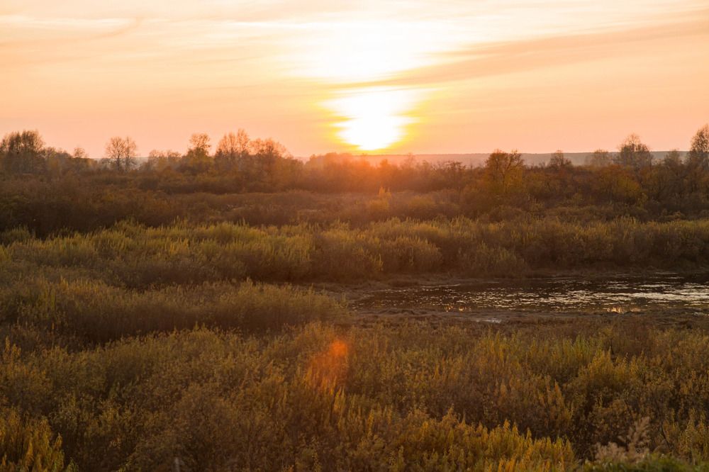 Photograph by Наталья Гашинская