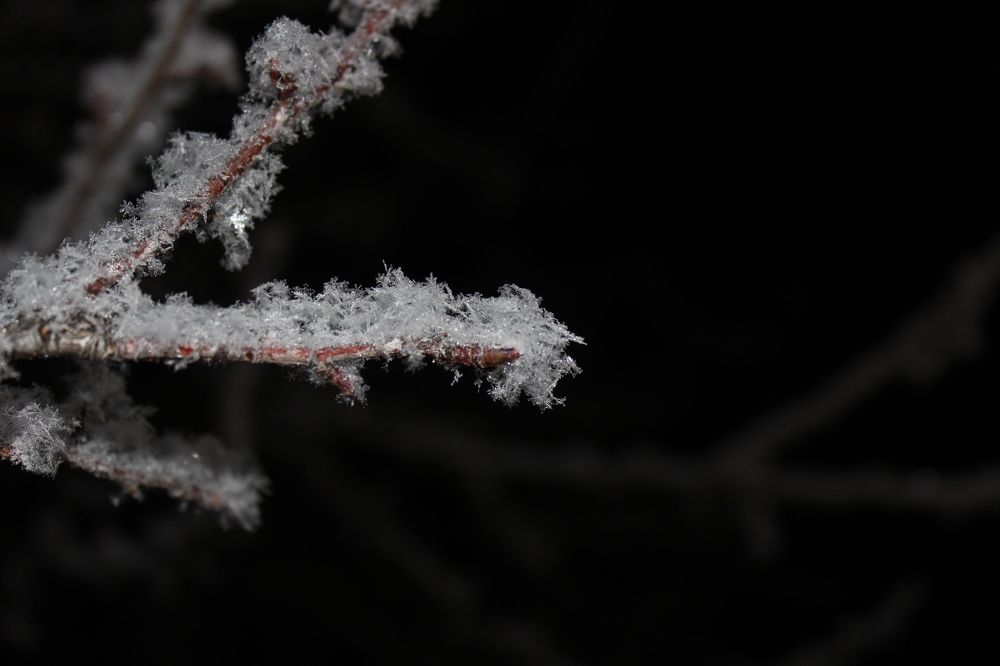 Photograph by Галина Мазур