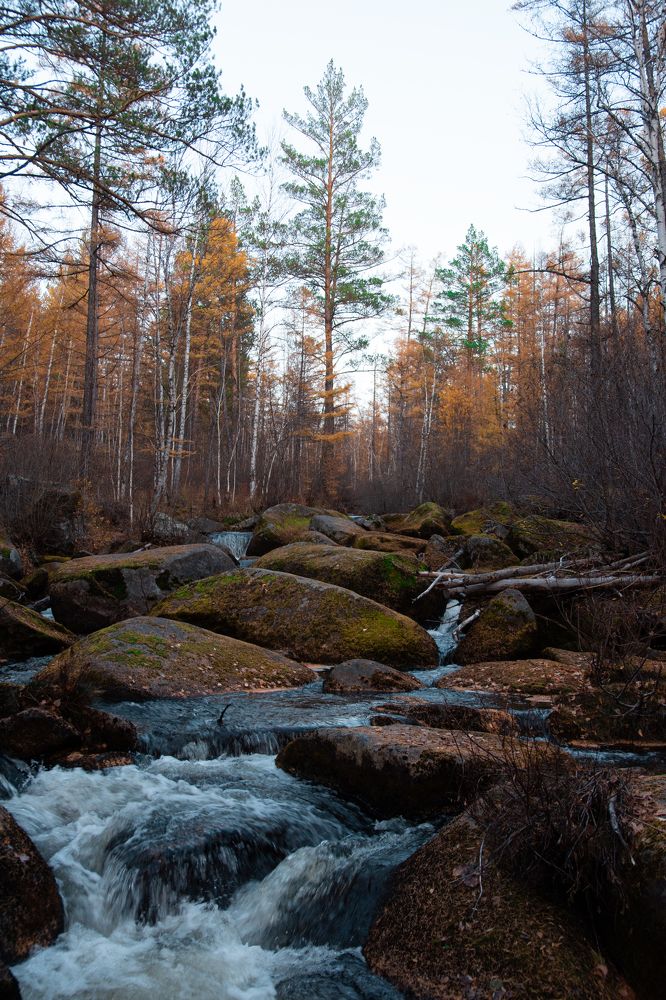 Photograph by Валерий Лапоног