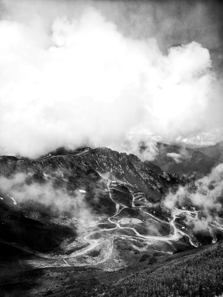 Photo #9648664