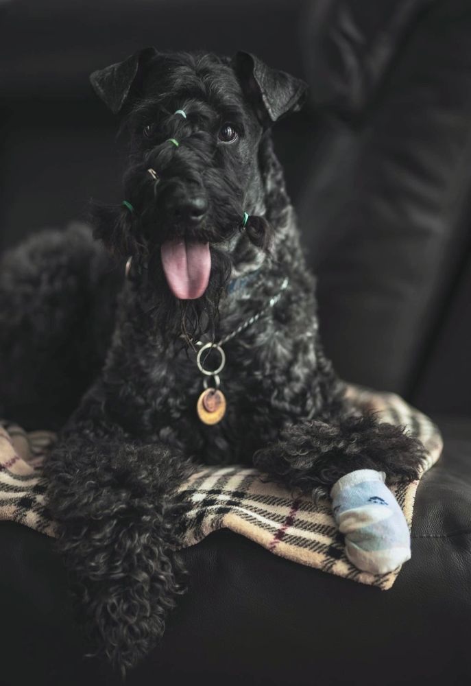 Портрет друга