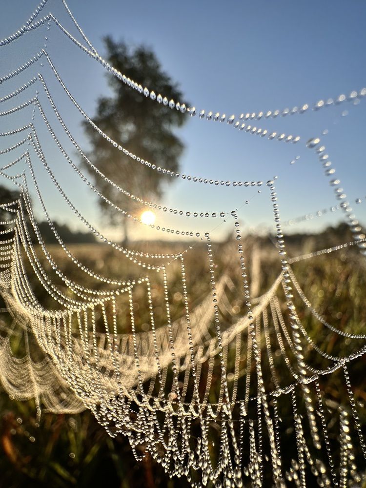 Photograph by Лариса Акинчиц