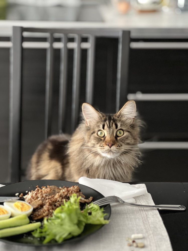 Photograph by Татьяна Собина