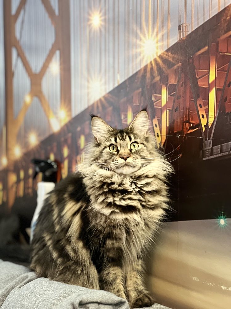 Photograph by Татьяна Собина