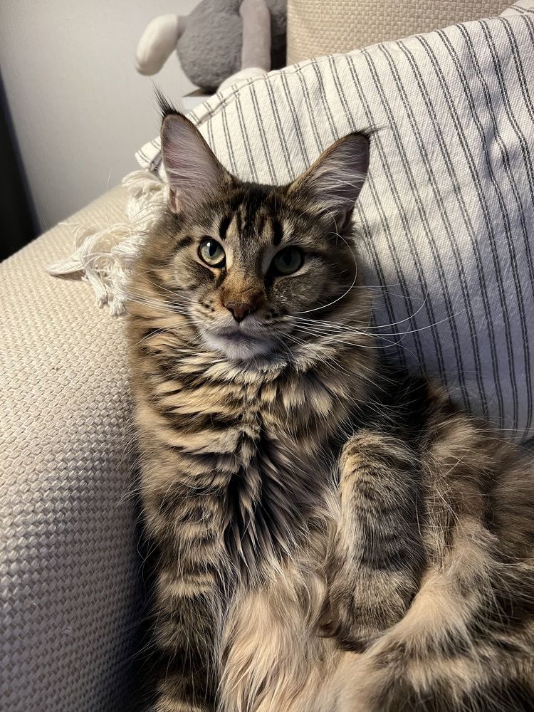 Photograph by Татьяна Собина