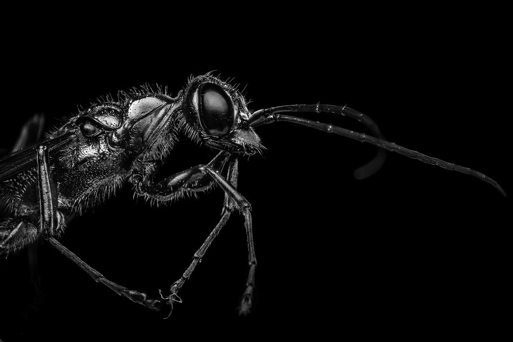 Photograph by NeCoTi ChonTin