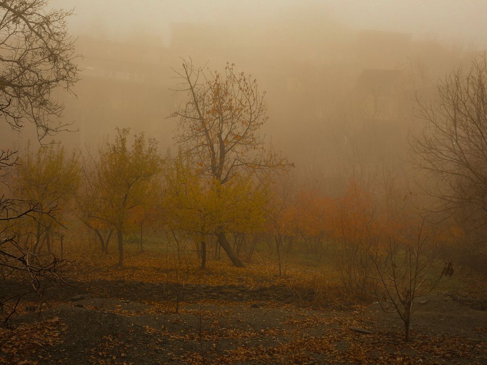 Photograph by mona gh