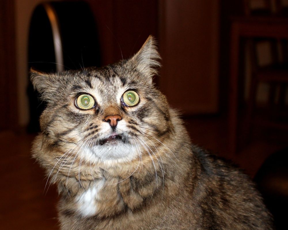 Photograph by Глеб Кузьминых