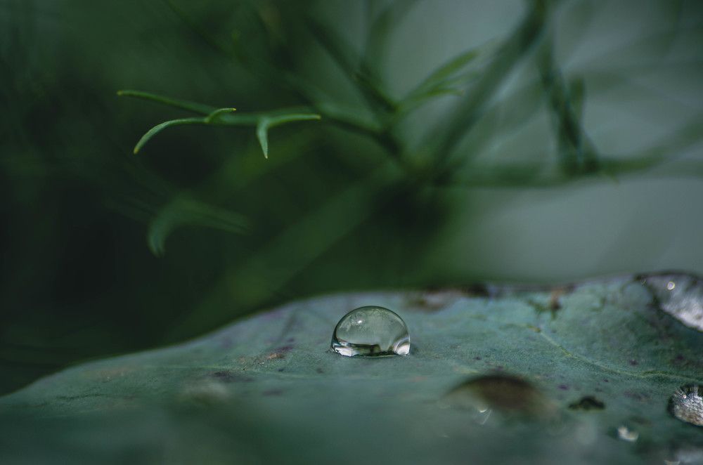 Photograph by Леонид Оплетаев