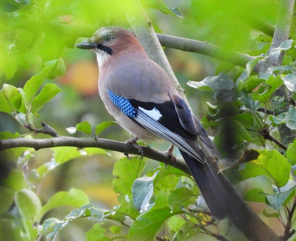 Photograph by Владимир Джерихов