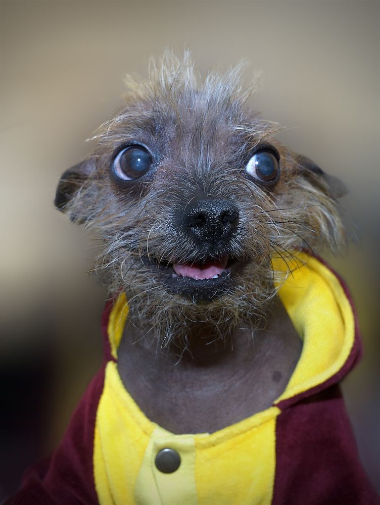 Photograph by Анатолий Максимов