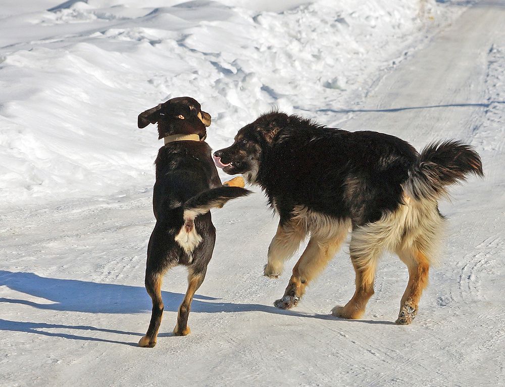 Photograph by Анатолий Максимов