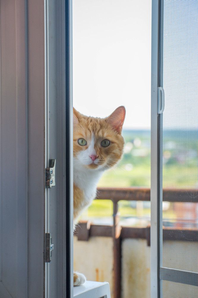 Photograph by Ирина