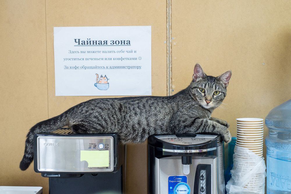 Photograph by Ирина