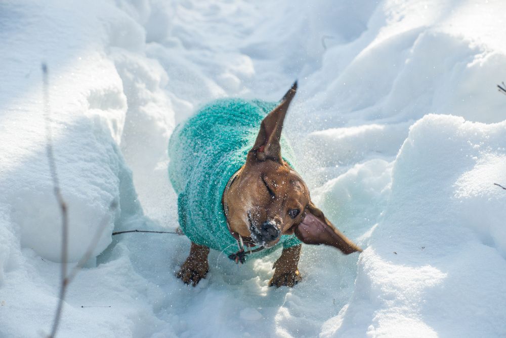 Photograph by Ирина