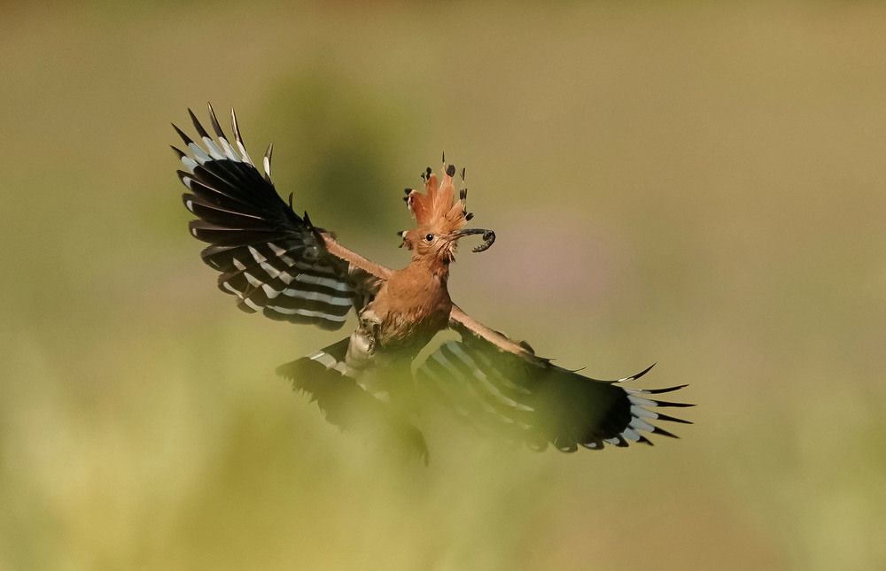 Photograph by Krasimir Georgiev