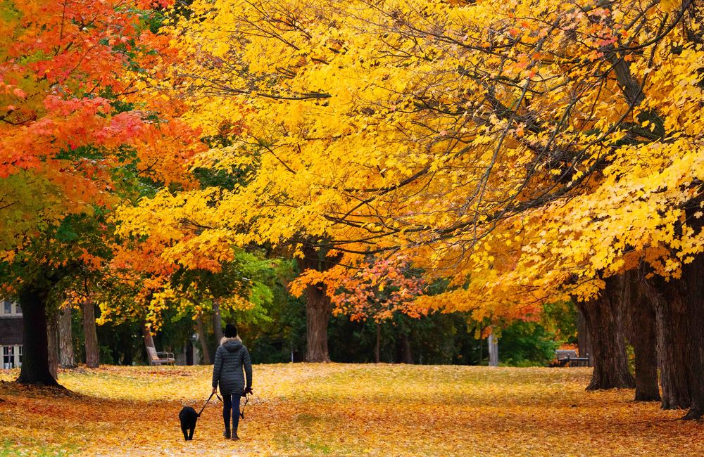 Photograph by Raghuvamsh Chavali