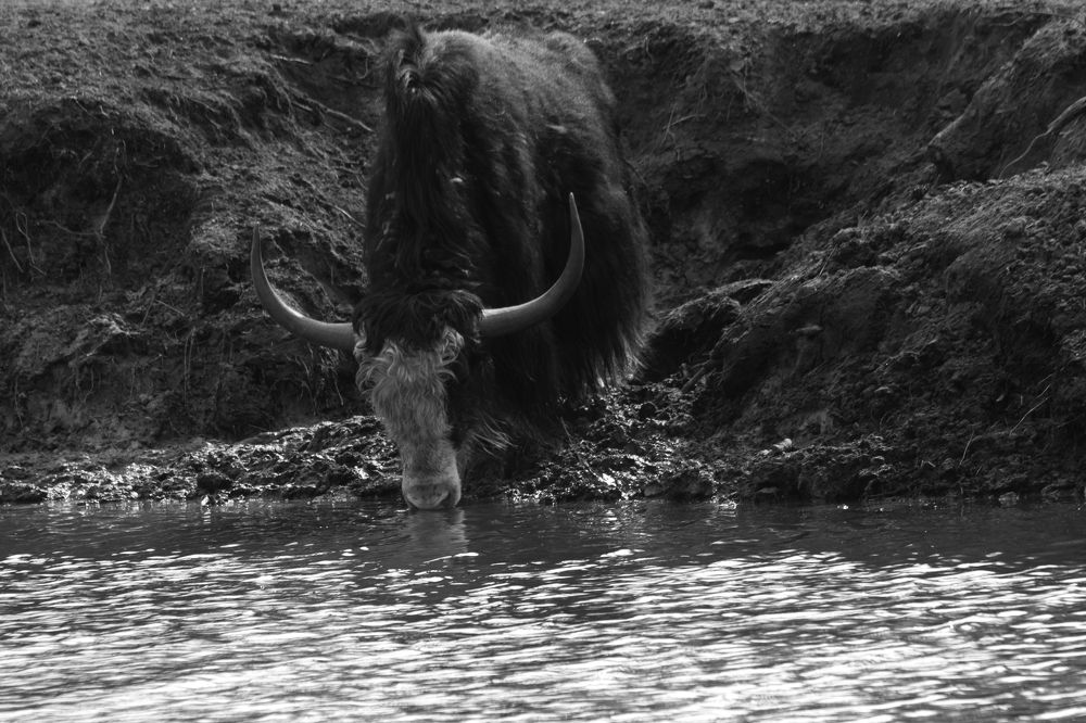 Photograph by Светлана Зайкова