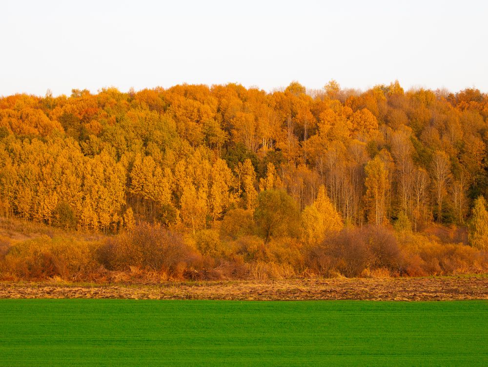 Photograph by Ivan Bazhenov