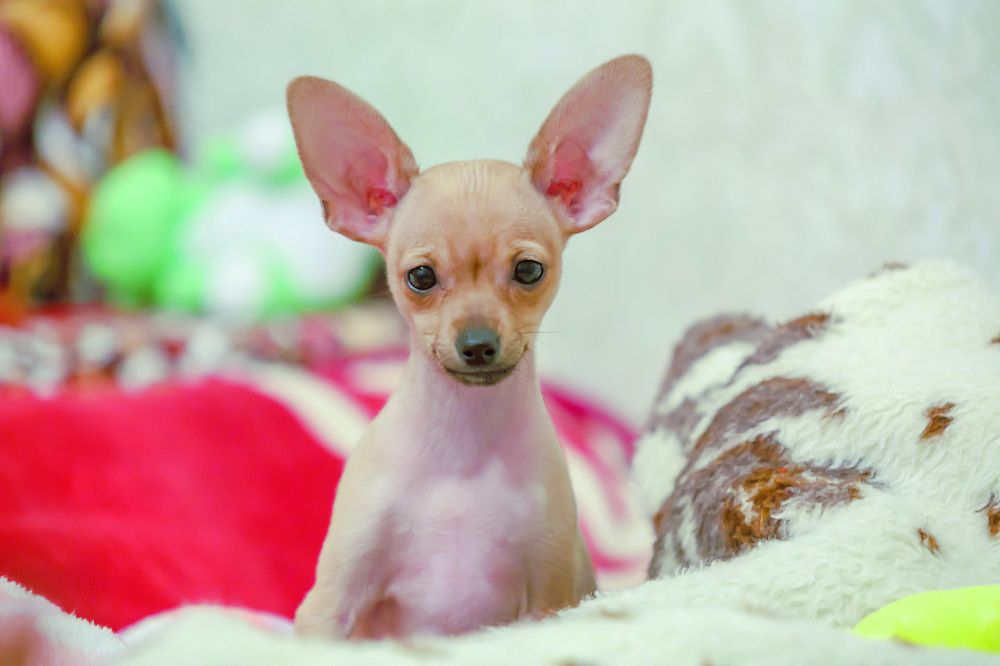 Photograph by Борис Платицин