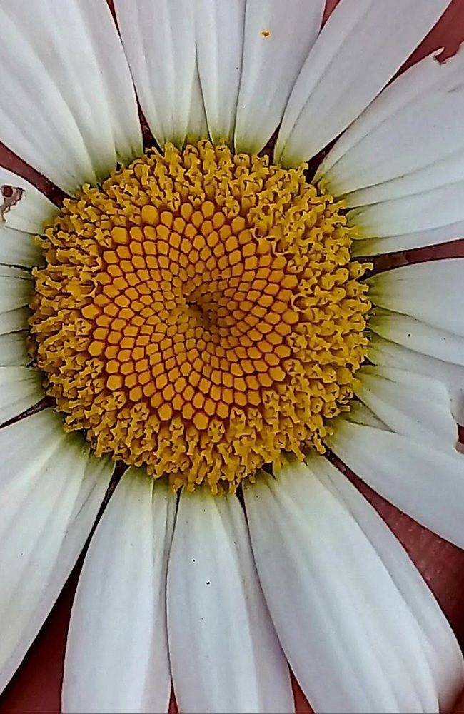 Photograph by Каковкина Ольга