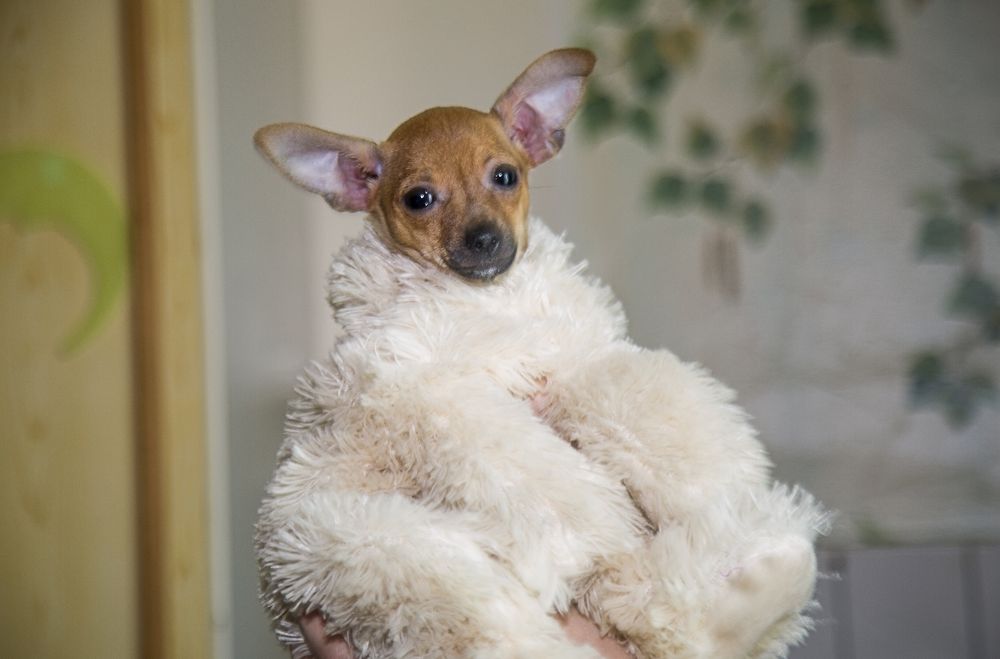 Photograph by Борис Платицин