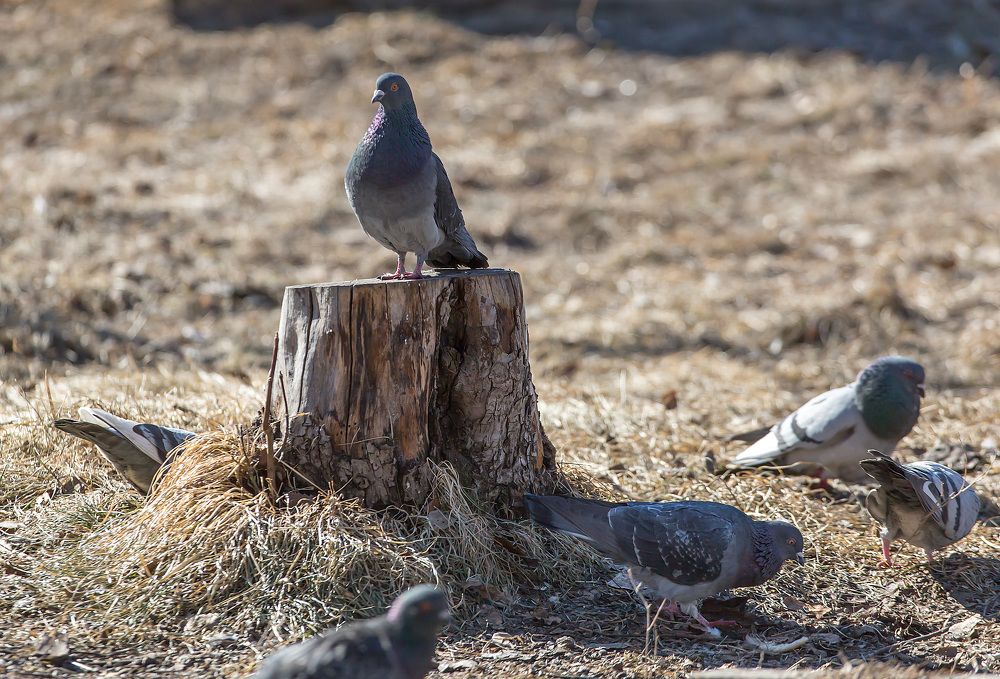 Photograph by Борис Платицин