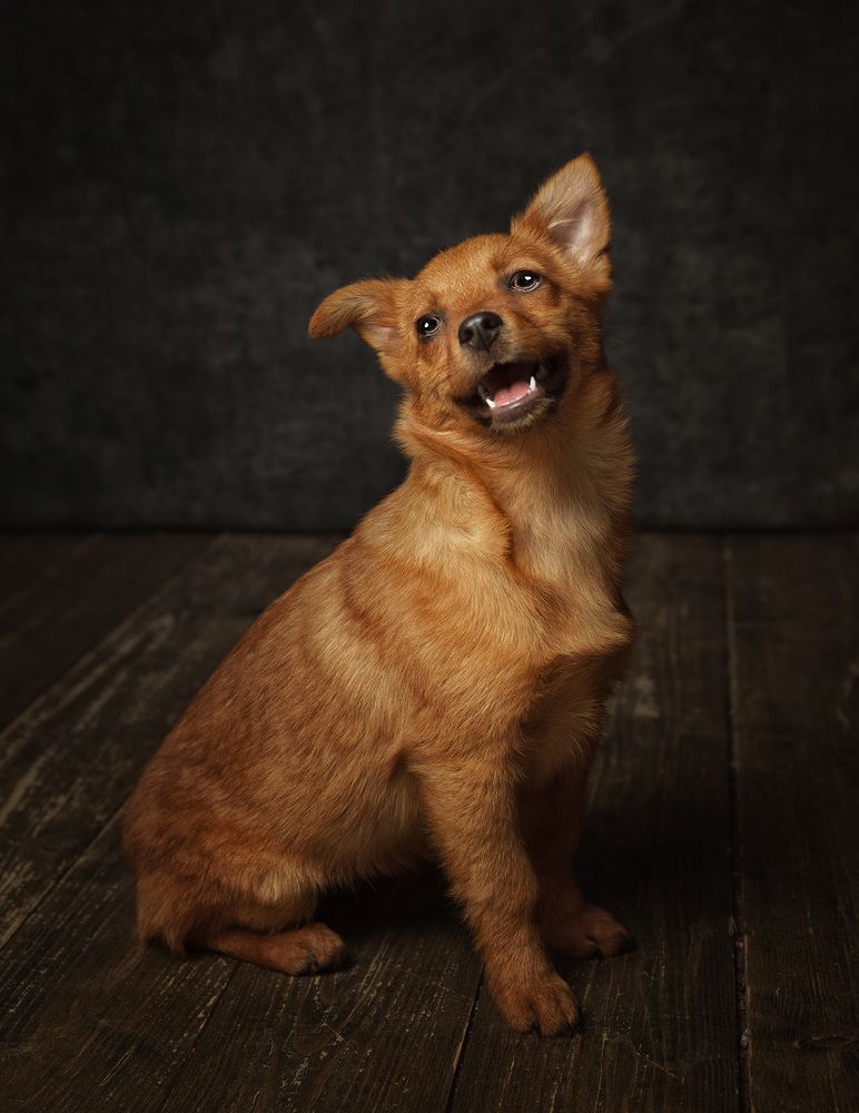 Photograph by Антон Тимошевский