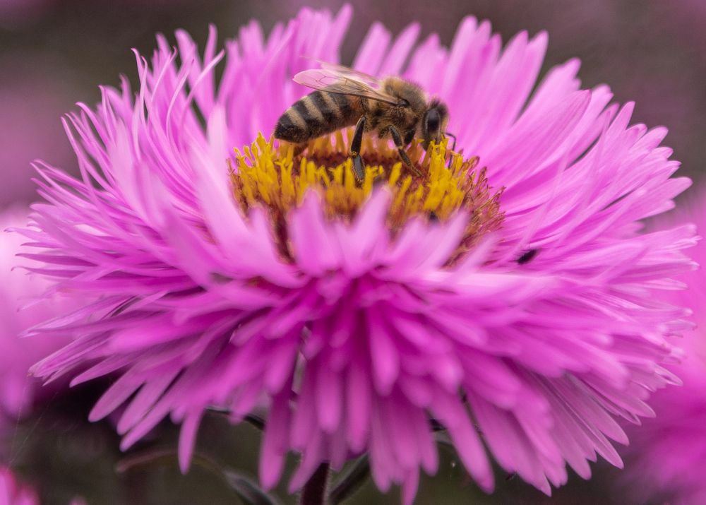 Photograph by Илья Ровинский