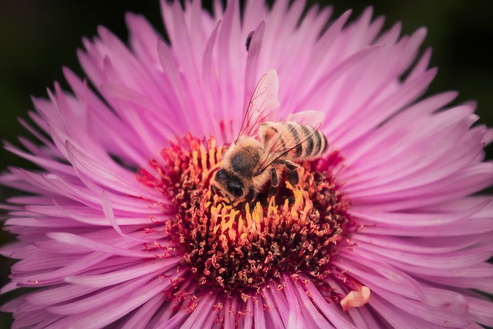 Photograph by Илья Ровинский