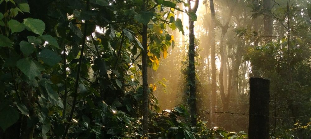 Photo #9649002