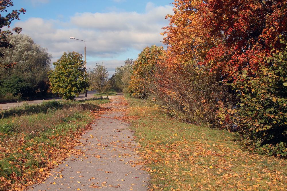 Осенняя дорожка