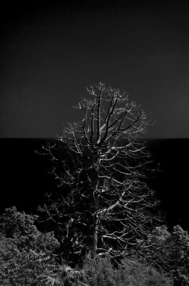 Photograph by Андрей Савёлов