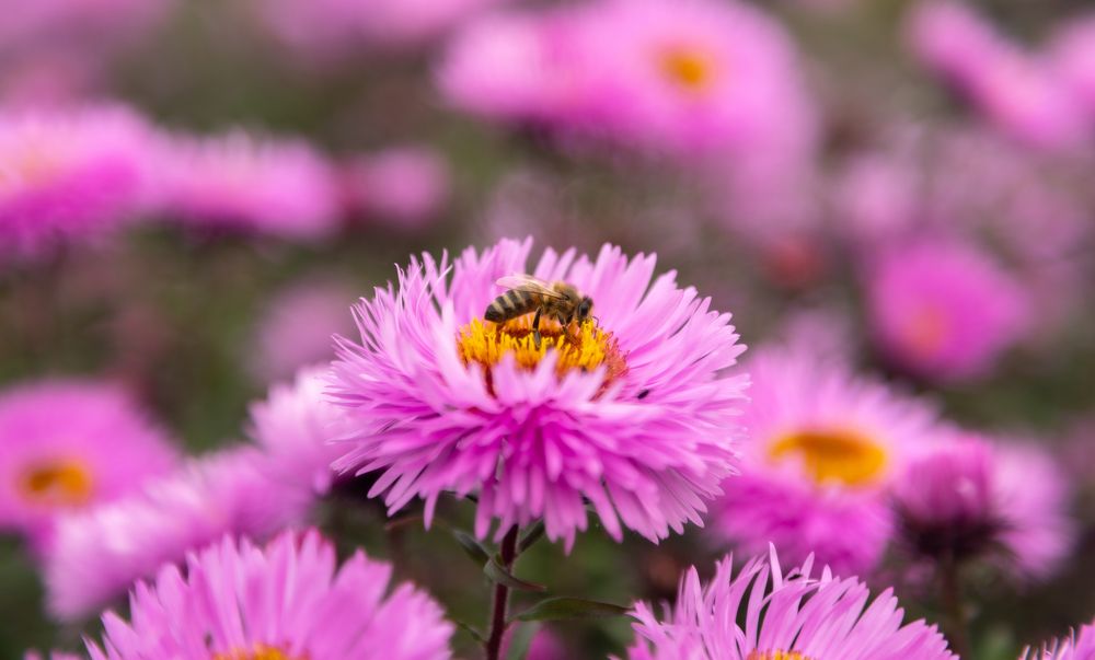 Photograph by Илья Ровинский