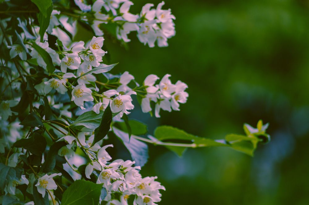 Photograph by Илья Ровинский