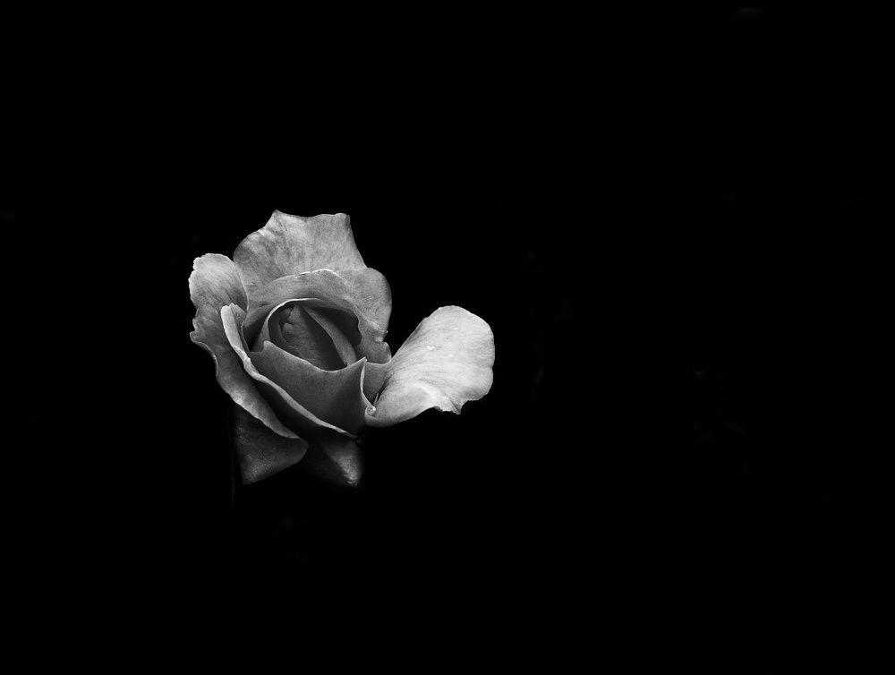 Photograph by Masoumeh Rahimi