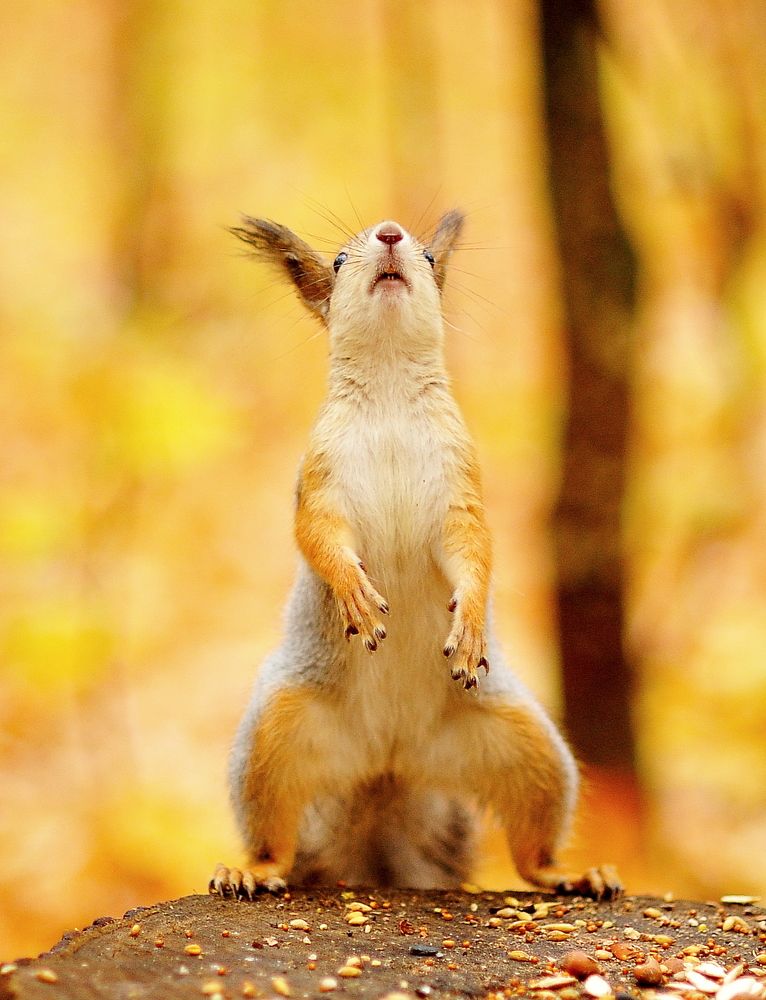 Photograph by Алексей Козлов