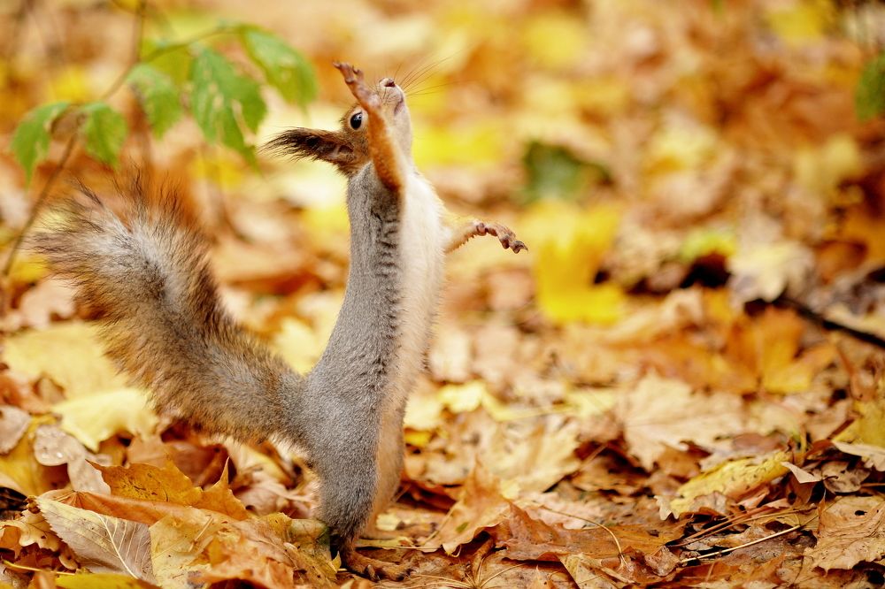 Photograph by Алексей Козлов