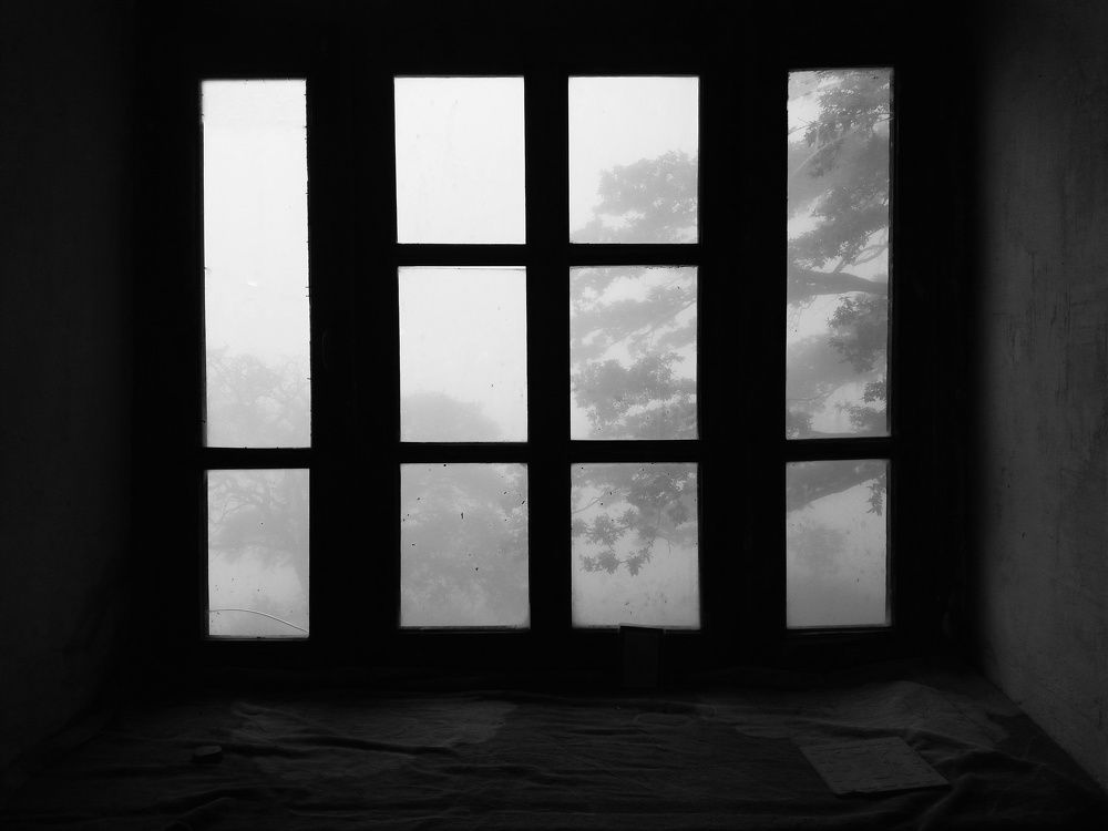 Photograph by Masoumeh Rahimi