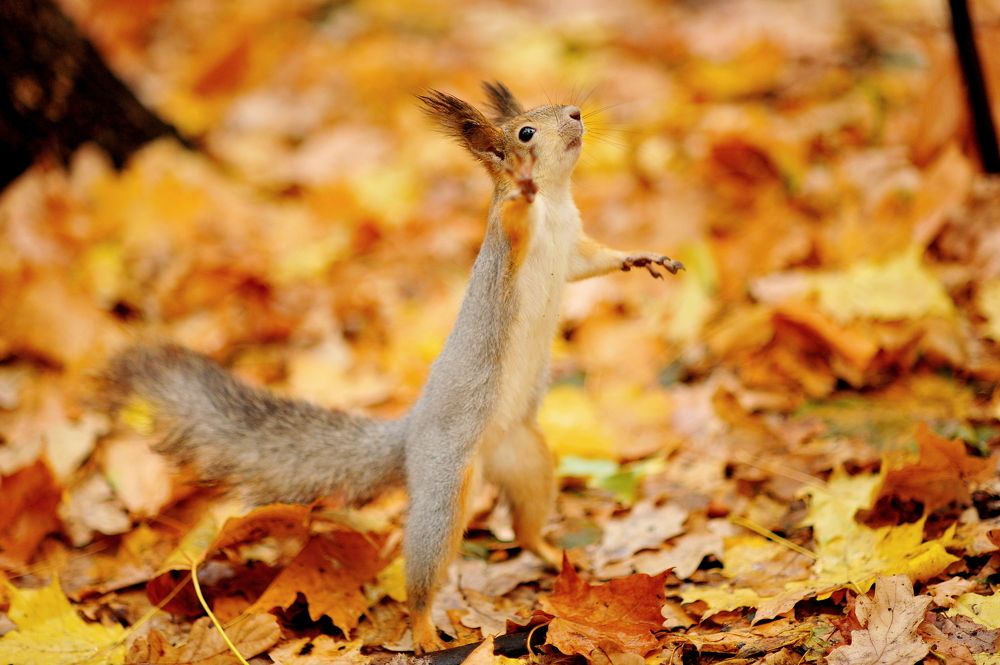 Photograph by Алексей Козлов