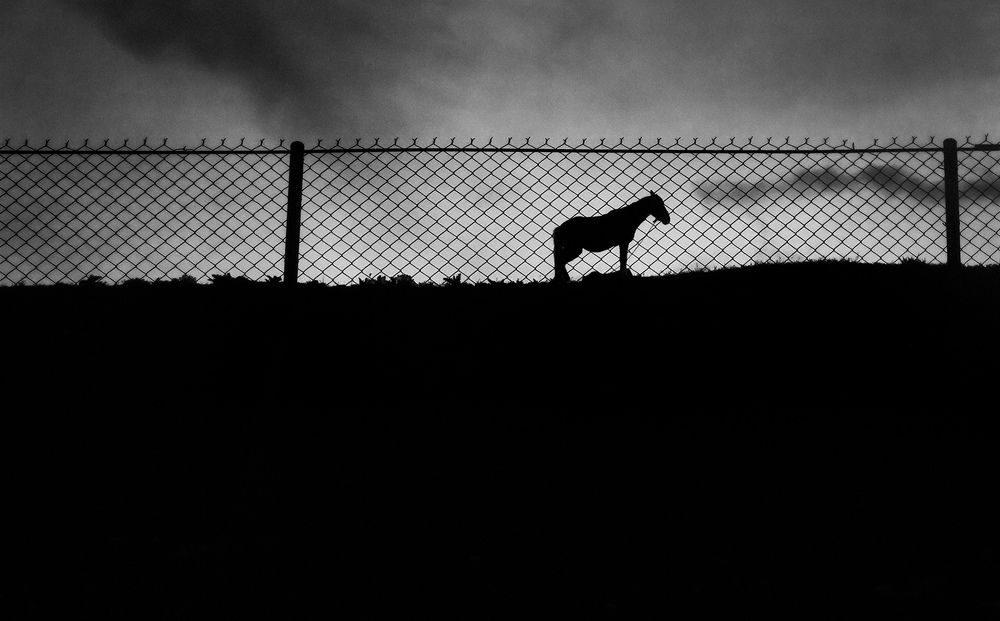 Photograph by Farzad Ajori