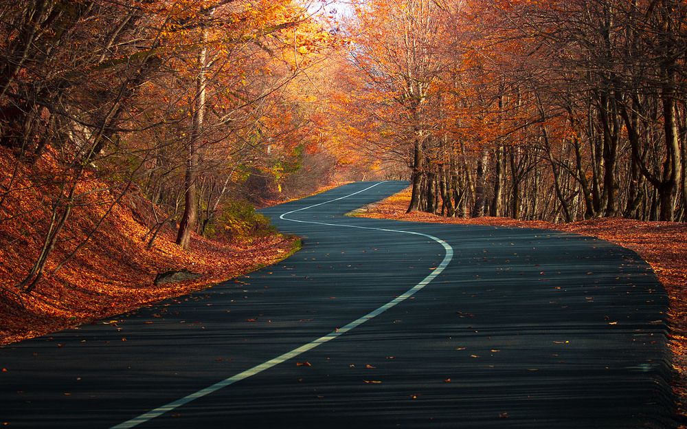 Photograph by Ali Memari