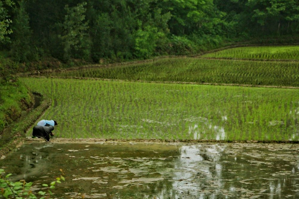 Photograph by Masoumeh Rahimi
