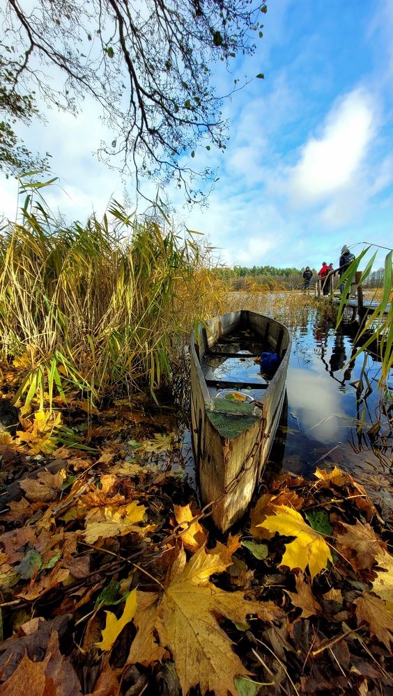 Фотография автора Lada Yakouchyk