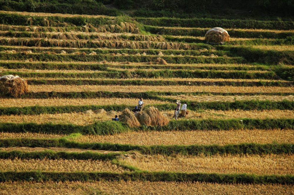 Photograph by Masoumeh Rahimi