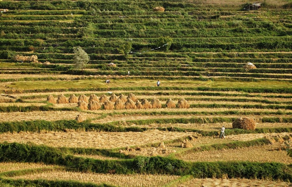 Photograph by Masoumeh Rahimi