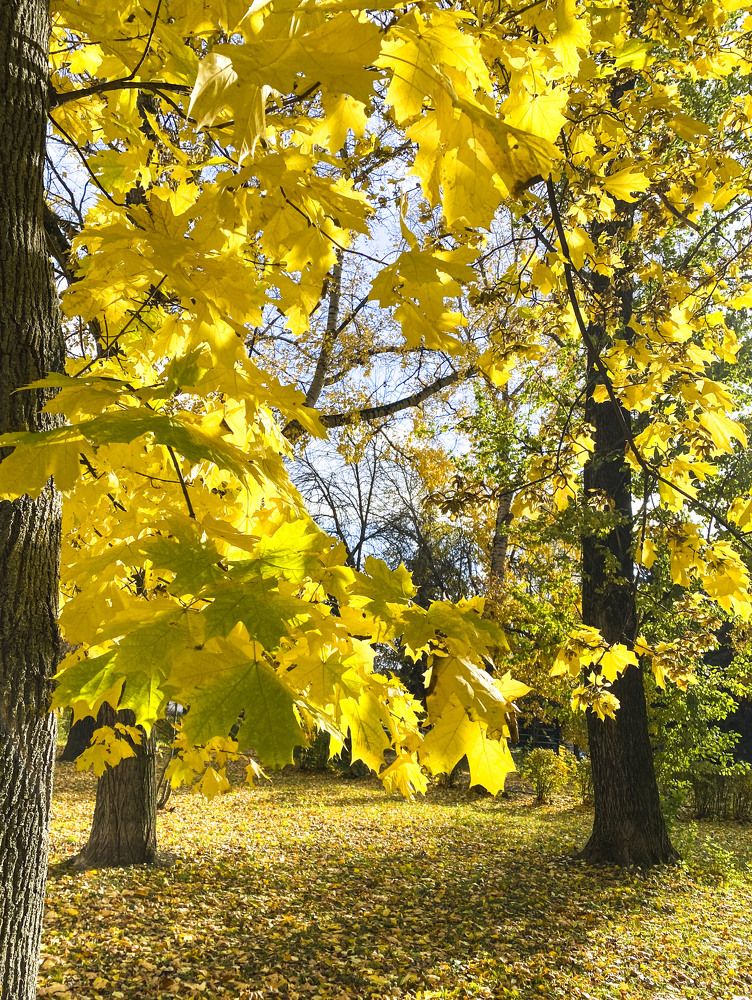 Photograph by Анна Панеева