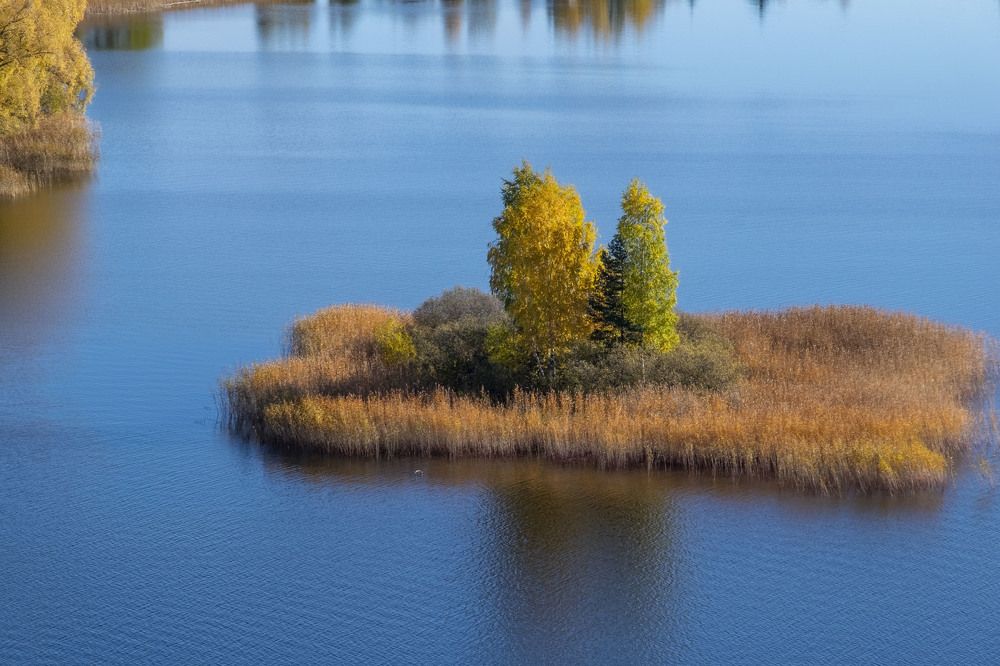 Фотография автора Наталья Липовская