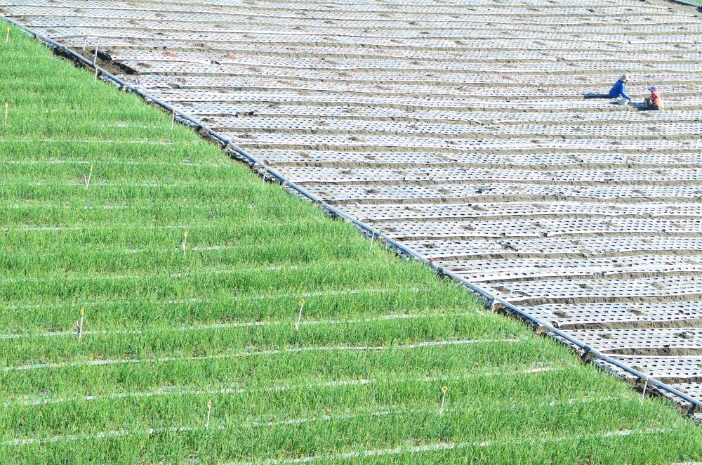 Photograph by jimtraveler indonesia